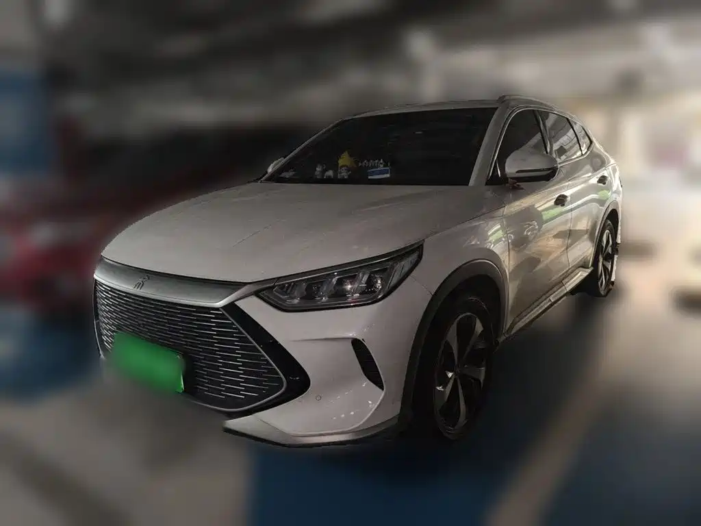 BYD PLUS New Energy 2021