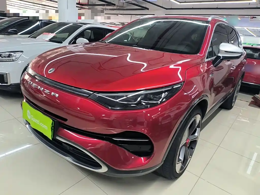 Denza Denza X 2020