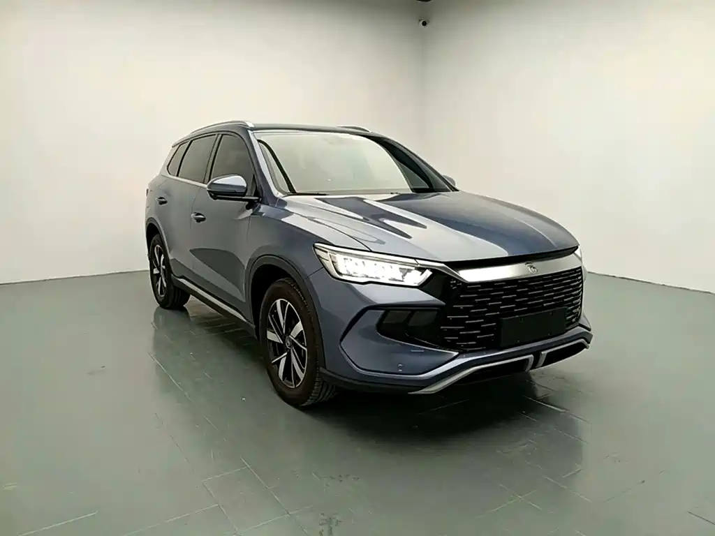 BYD Pro New Energy 2024