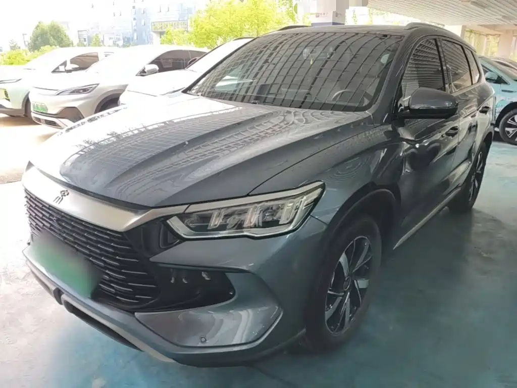 BYD Pro New Energy 2024