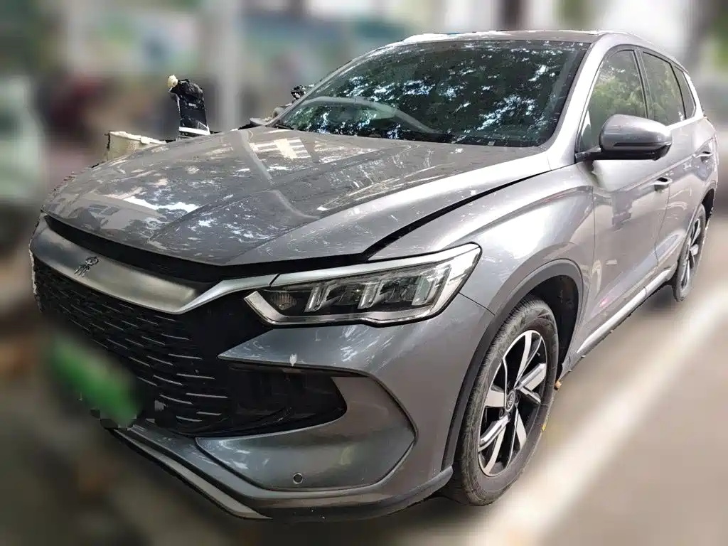 BYD Pro New Energy 2024