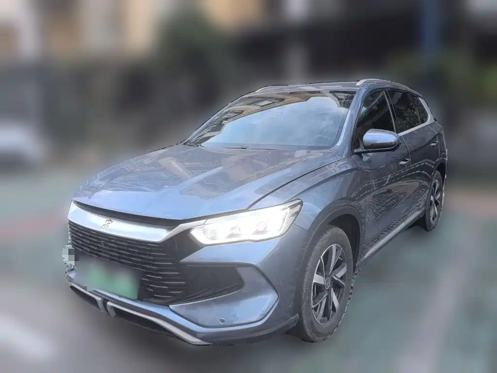 BYD Pro New Energy 2024