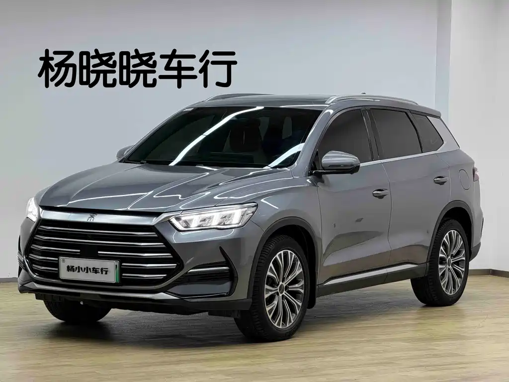 BYD Pro New Energy 2023