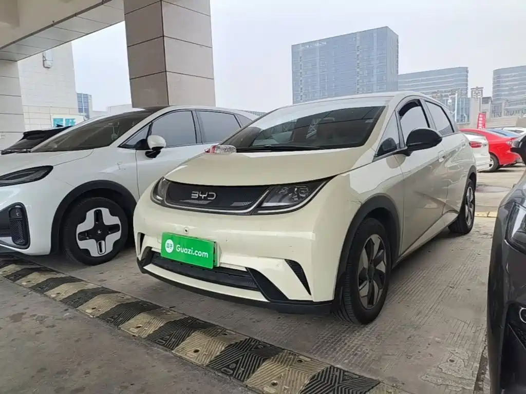 BYD Dolphin 2026