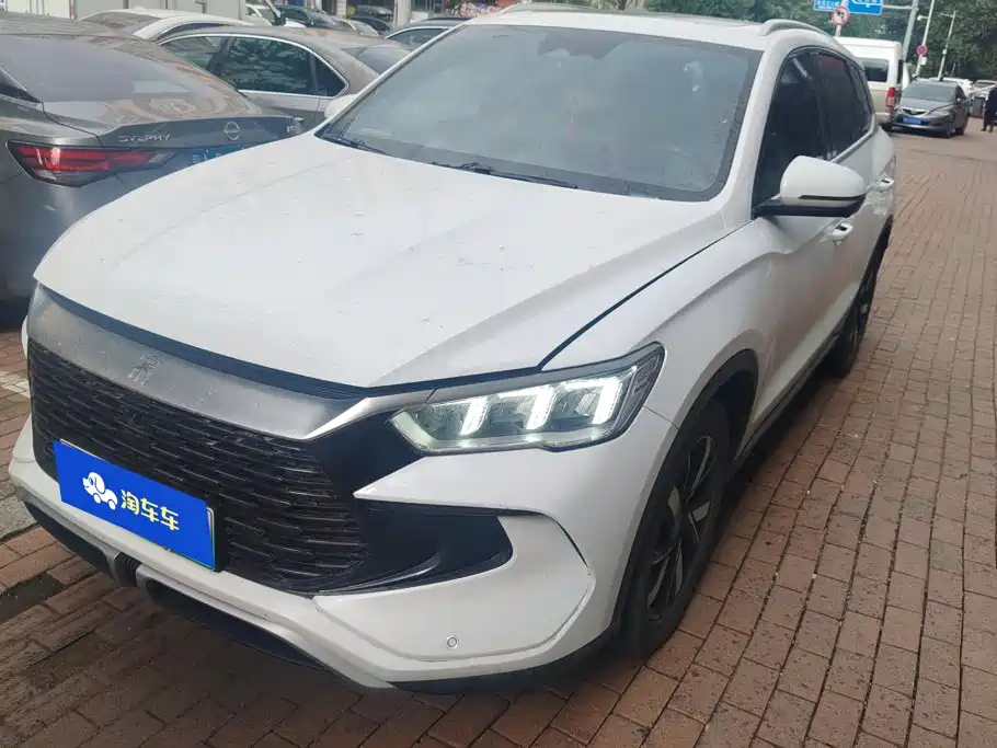 BYD Pro New Energy 2024