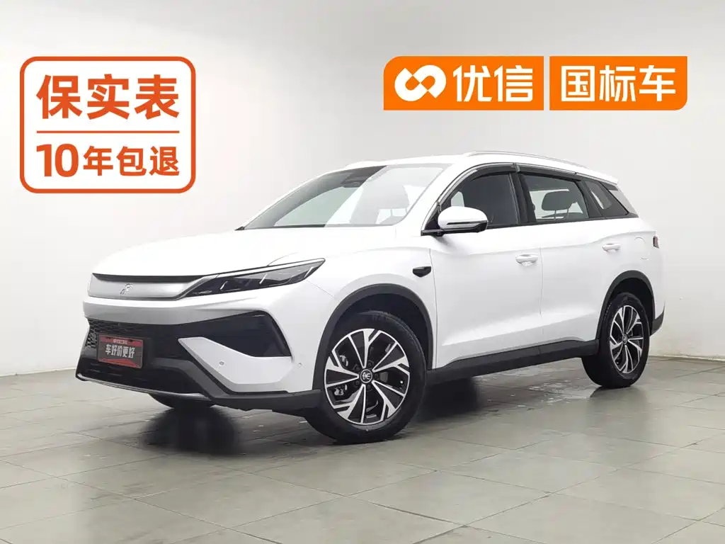 BYD Pro New Energy 2025