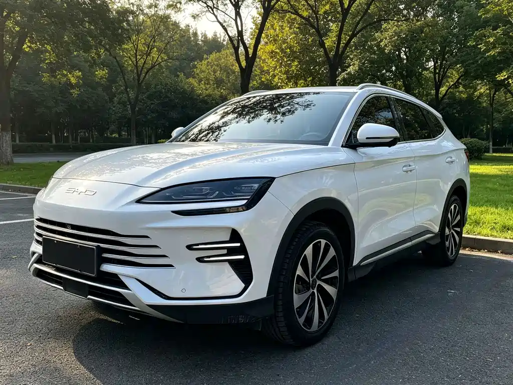BYD PLUS New Energy 2024