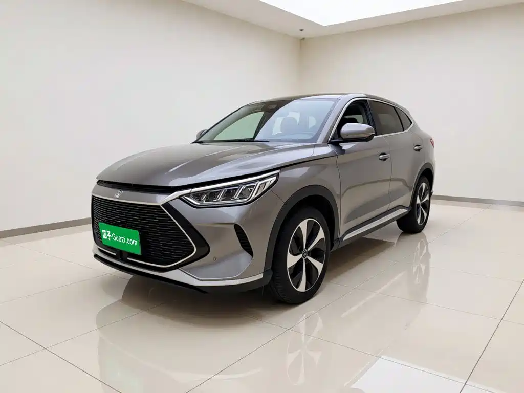 BYD PLUS New Energy 2022