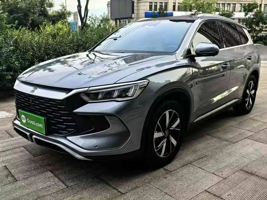 BYD Pro New Energy 2024