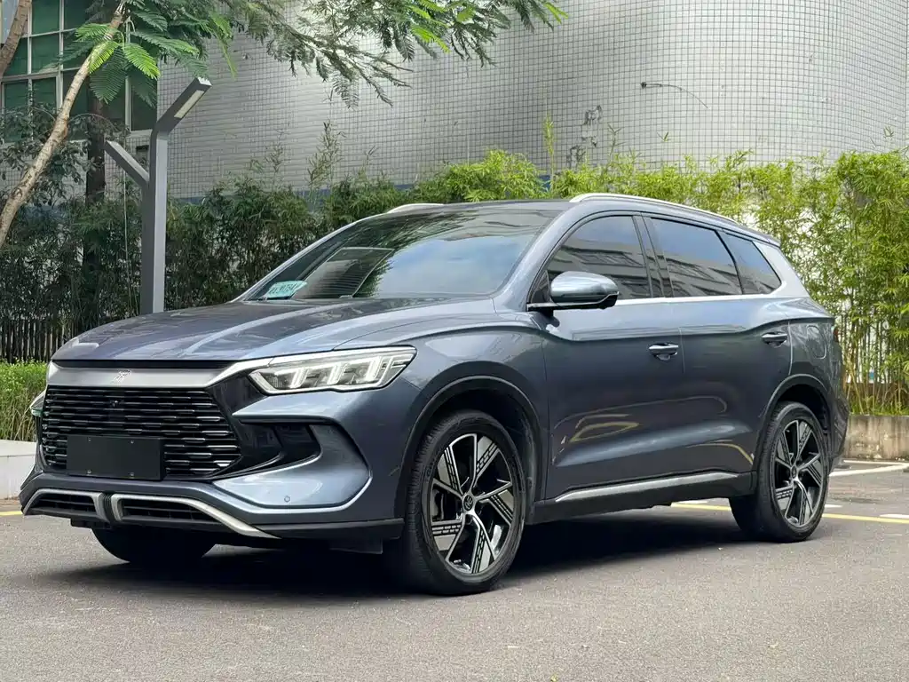 BYD Pro New Energy 2024