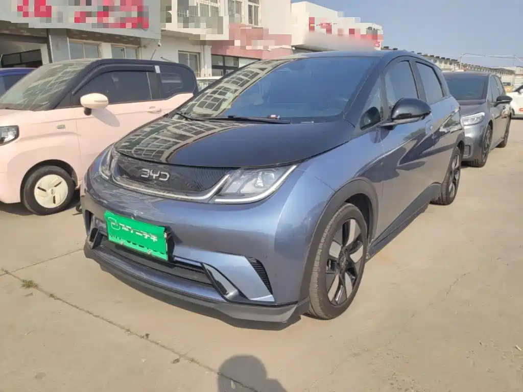 BYD Dolphin 2024