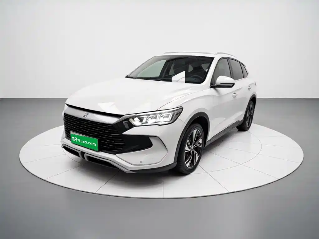 BYD Pro New Energy 2023