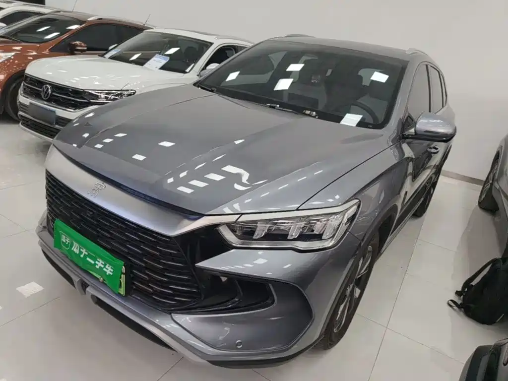 BYD Pro New Energy 2024