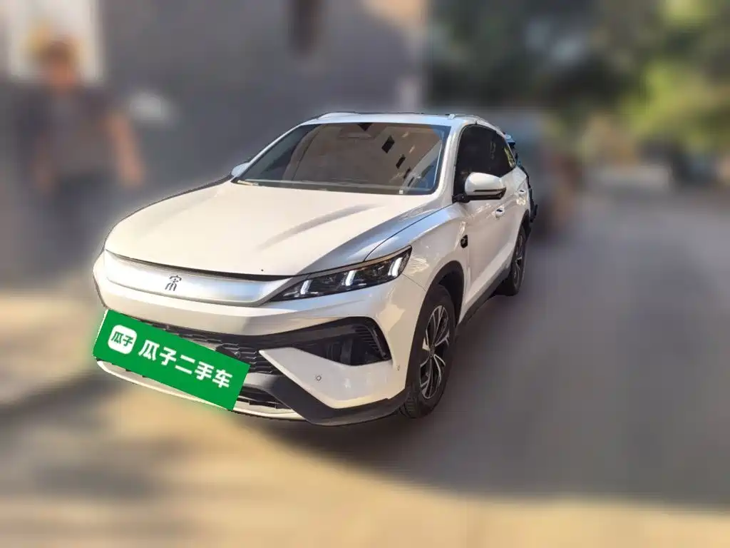 BYD Pro New Energy 2025