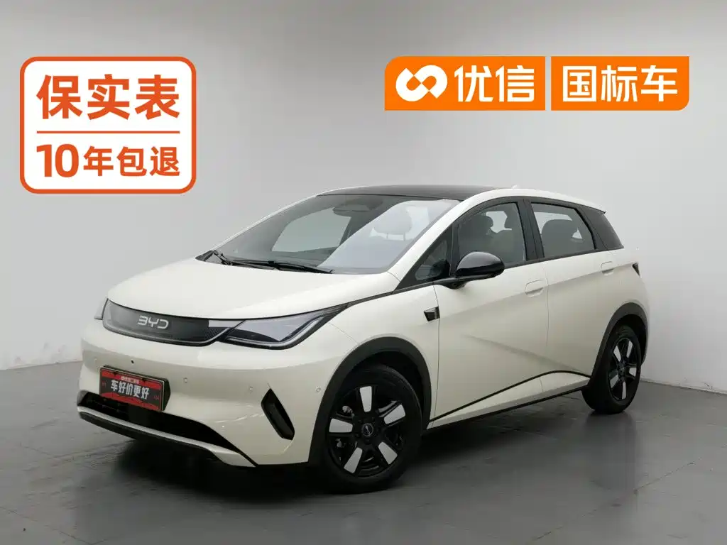BYD Dolphin 2025