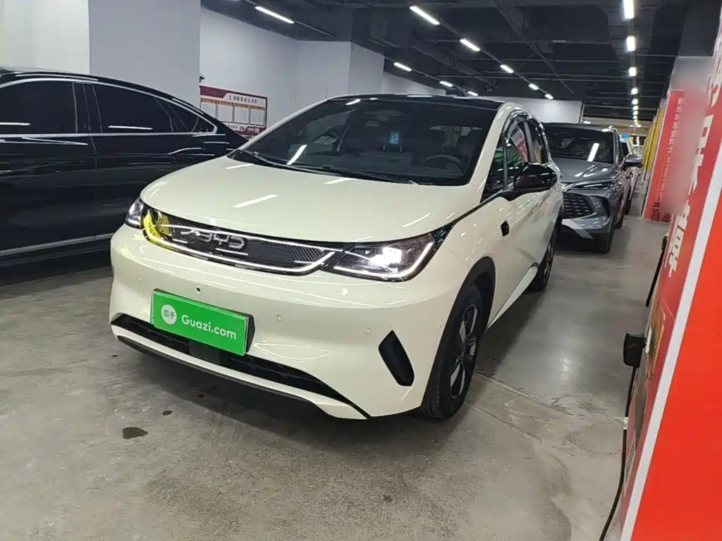 BYD Dolphin 2025