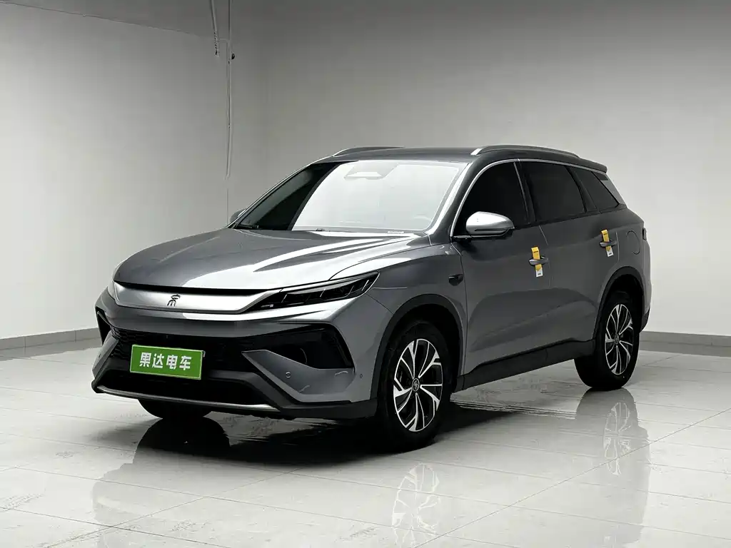BYD Pro New Energy 2025