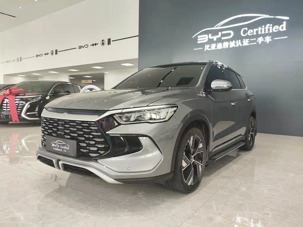 BYD Pro New Energy 2024
