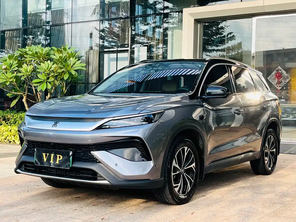 BYD Pro New Energy 2025