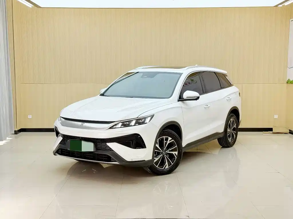 BYD Pro New Energy 2024