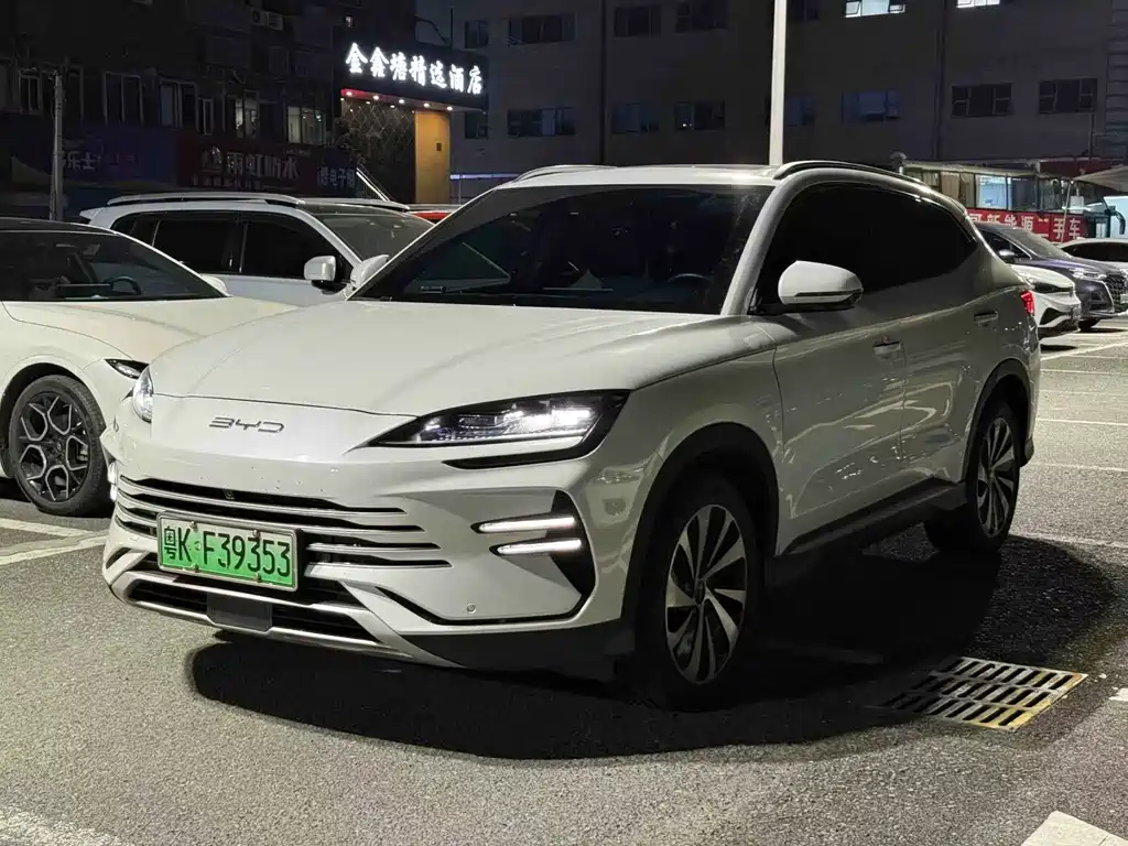 BYD PLUS New Energy 2024