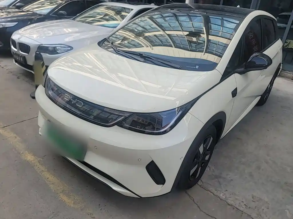 BYD Dolphin 2025