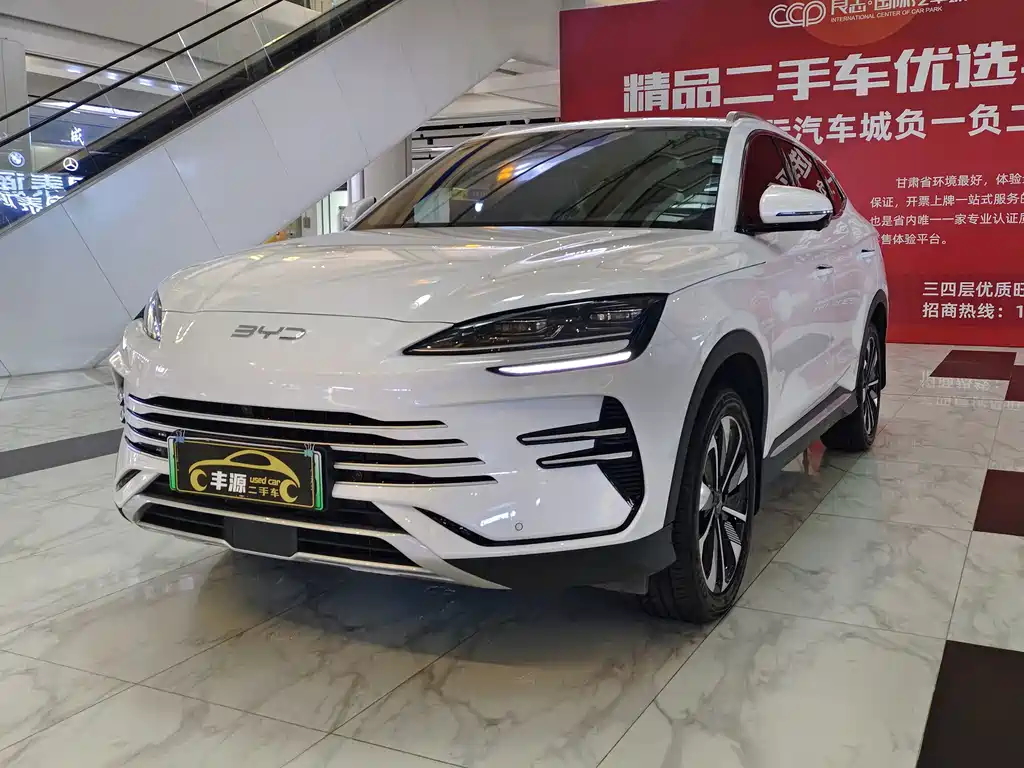 BYD PLUS New Energy 2024