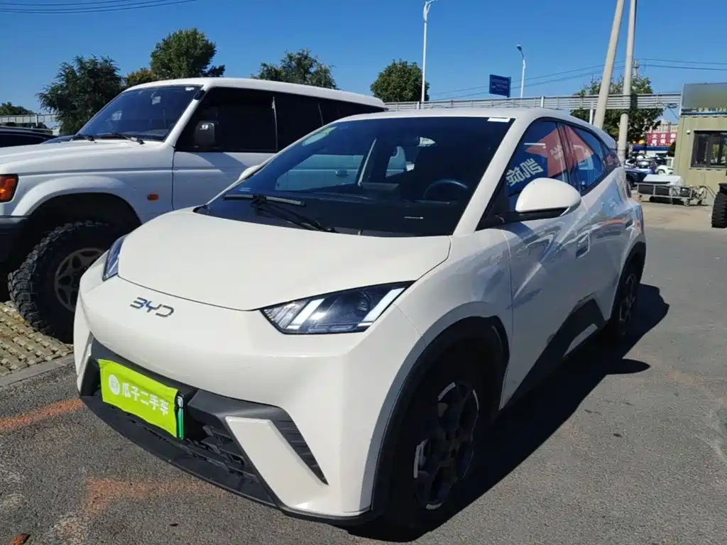 BYD Seagull 2024