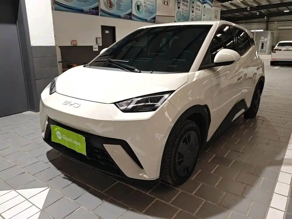 BYD Seagull 2024