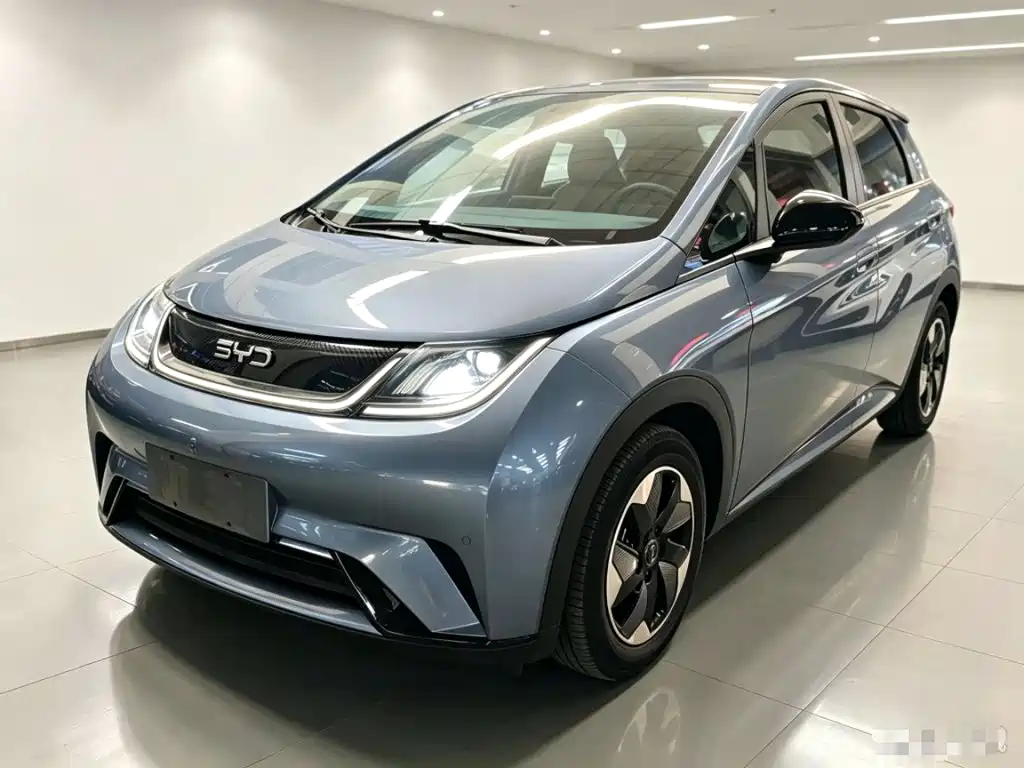 BYD Dolphin 2024
