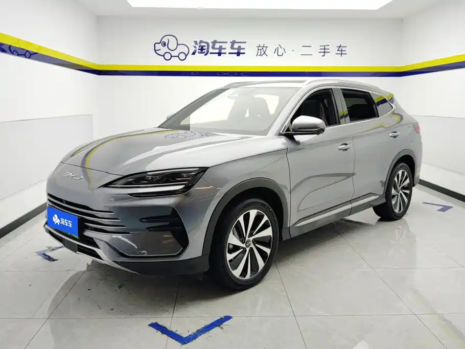 BYD PLUS New Energy 2024