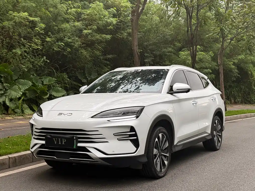 BYD PLUS New Energy 2024