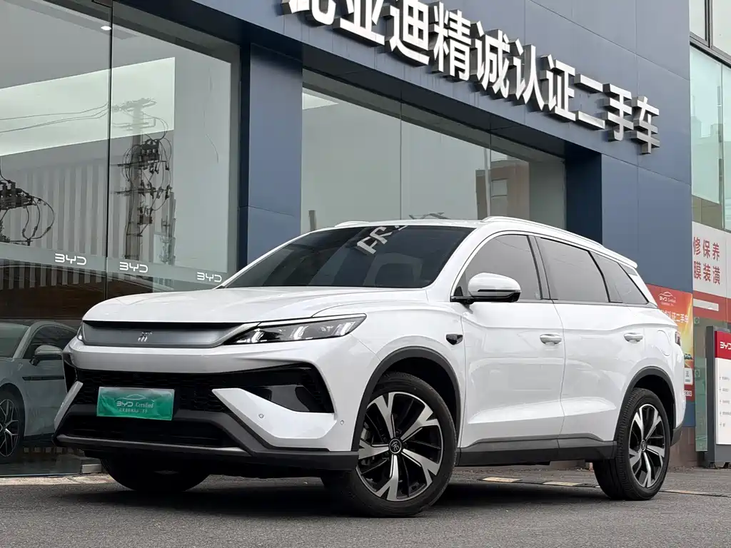 BYD Pro New Energy 2025
