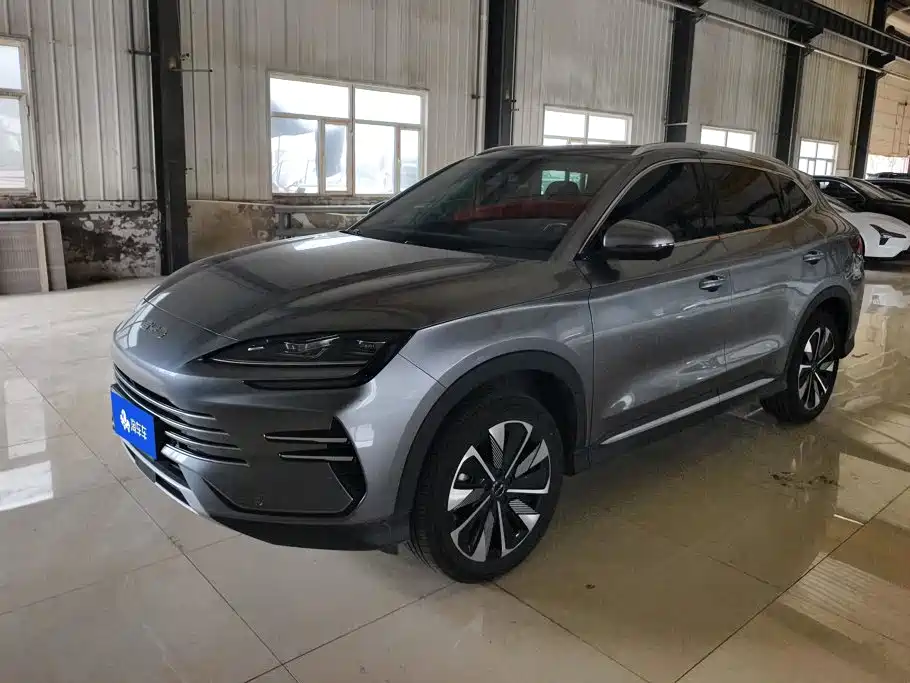 BYD PLUS New Energy 2024