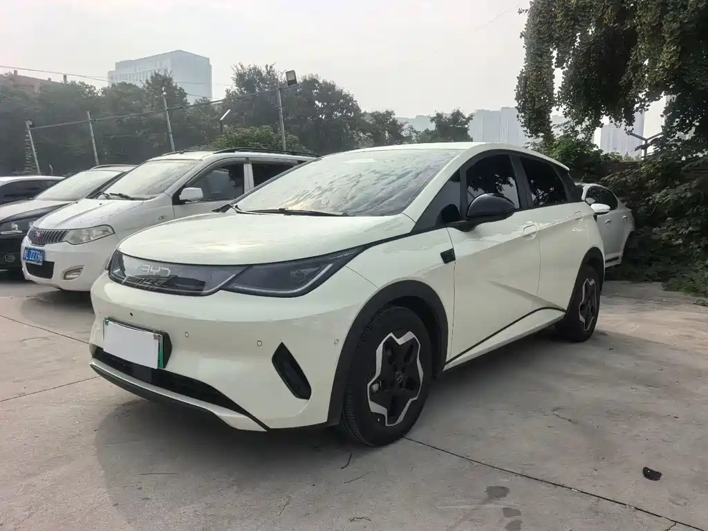 BYD Dolphin 2026