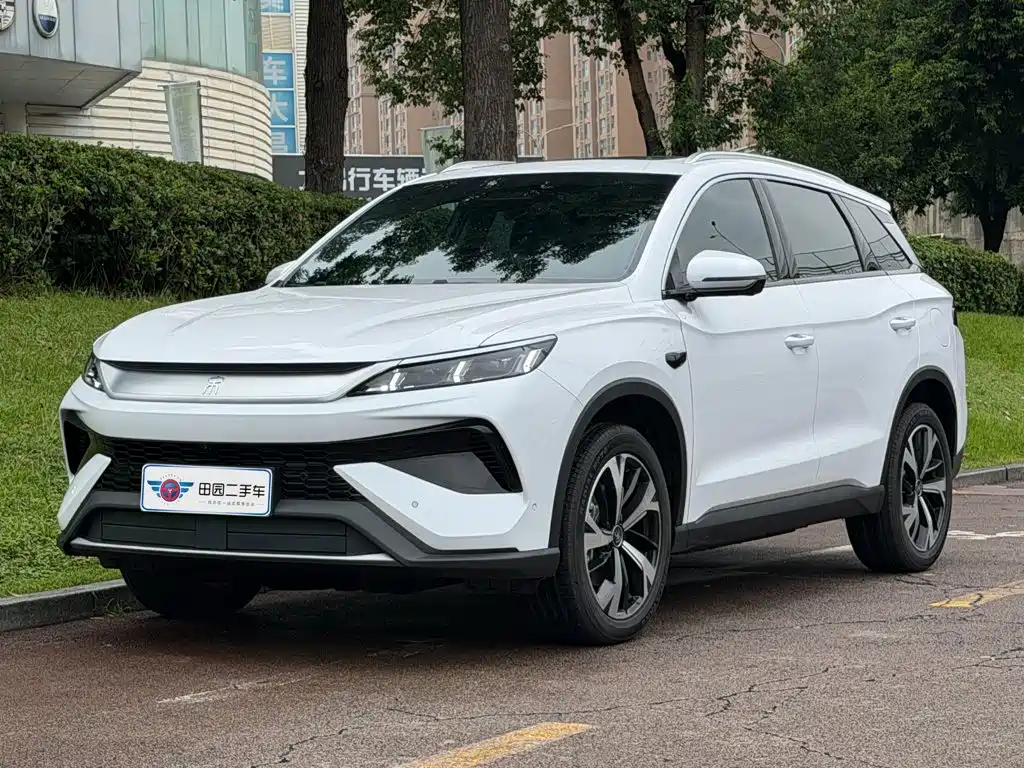 BYD Pro New Energy 2026