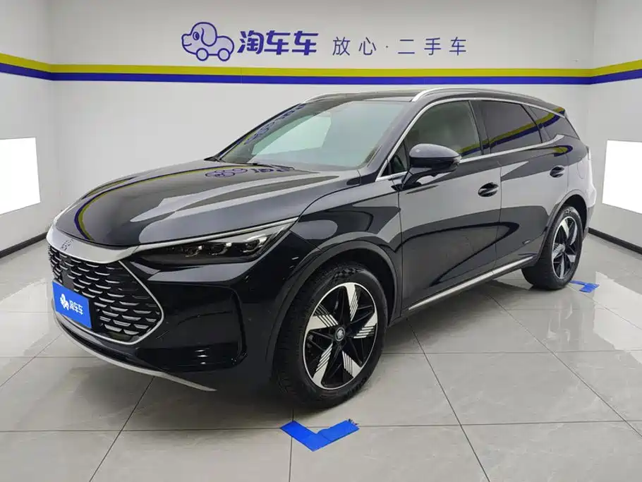 BYD Tang New Energy 2024