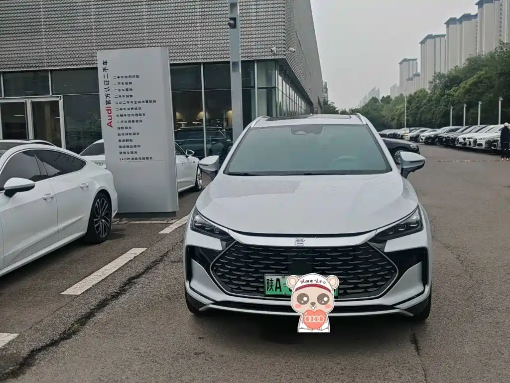 BYD Tang New Energy 2025