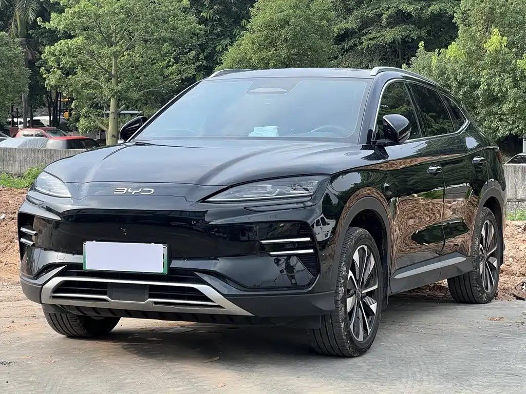 BYD PLUS New Energy 2025