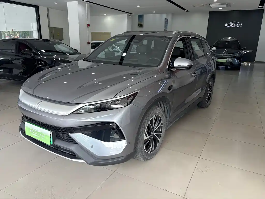 BYD Pro New Energy 2025