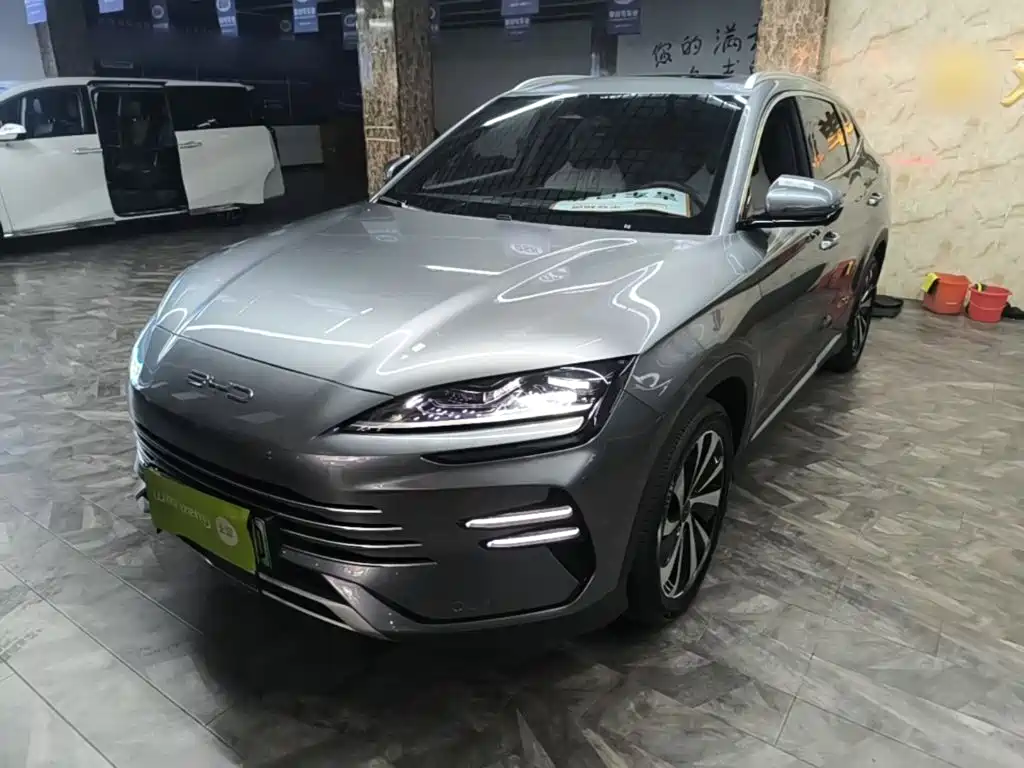 BYD PLUS New Energy 2024