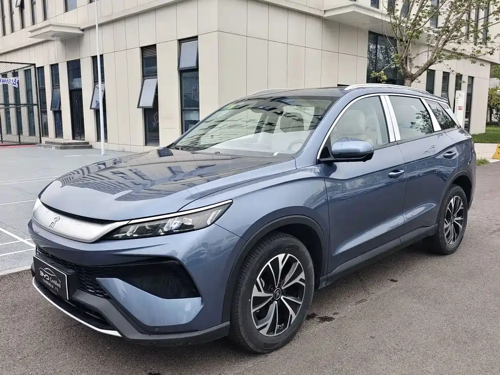 BYD Pro New Energy 2026