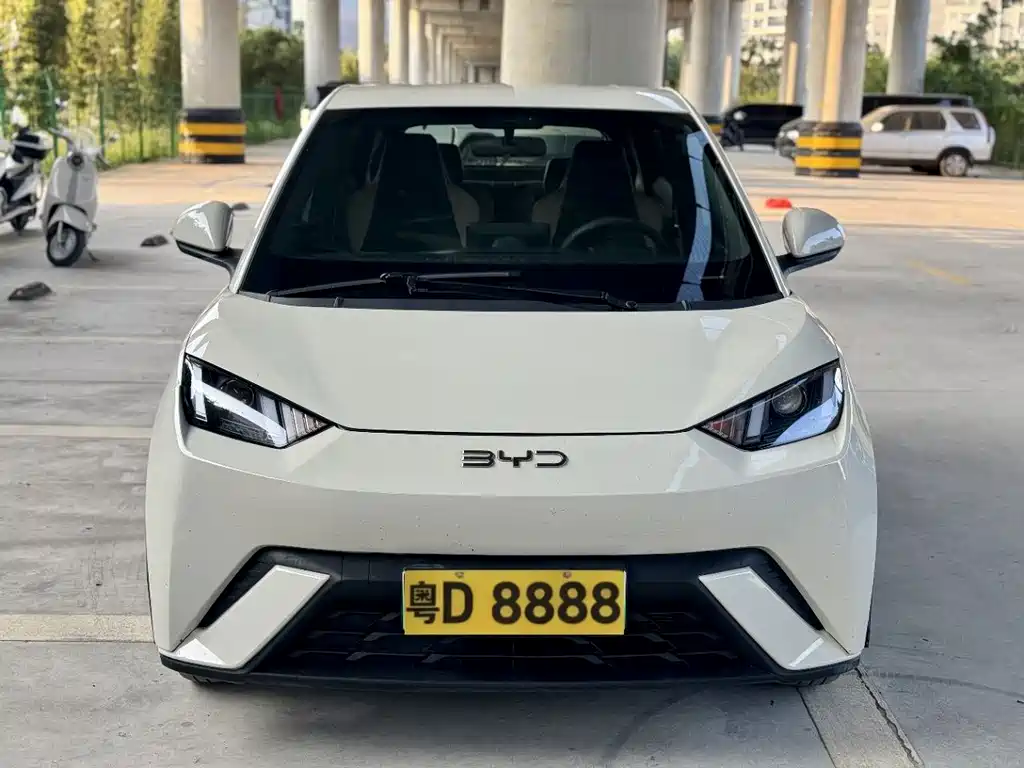 BYD Seagull 2024