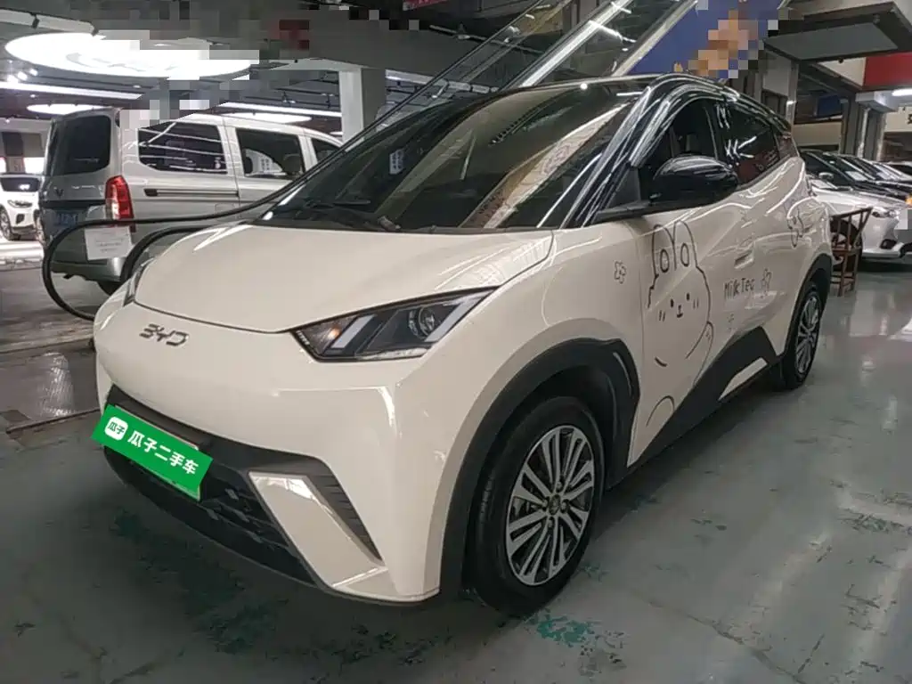 BYD Seagull 2024