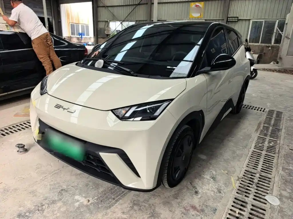 BYD Seagull 2024