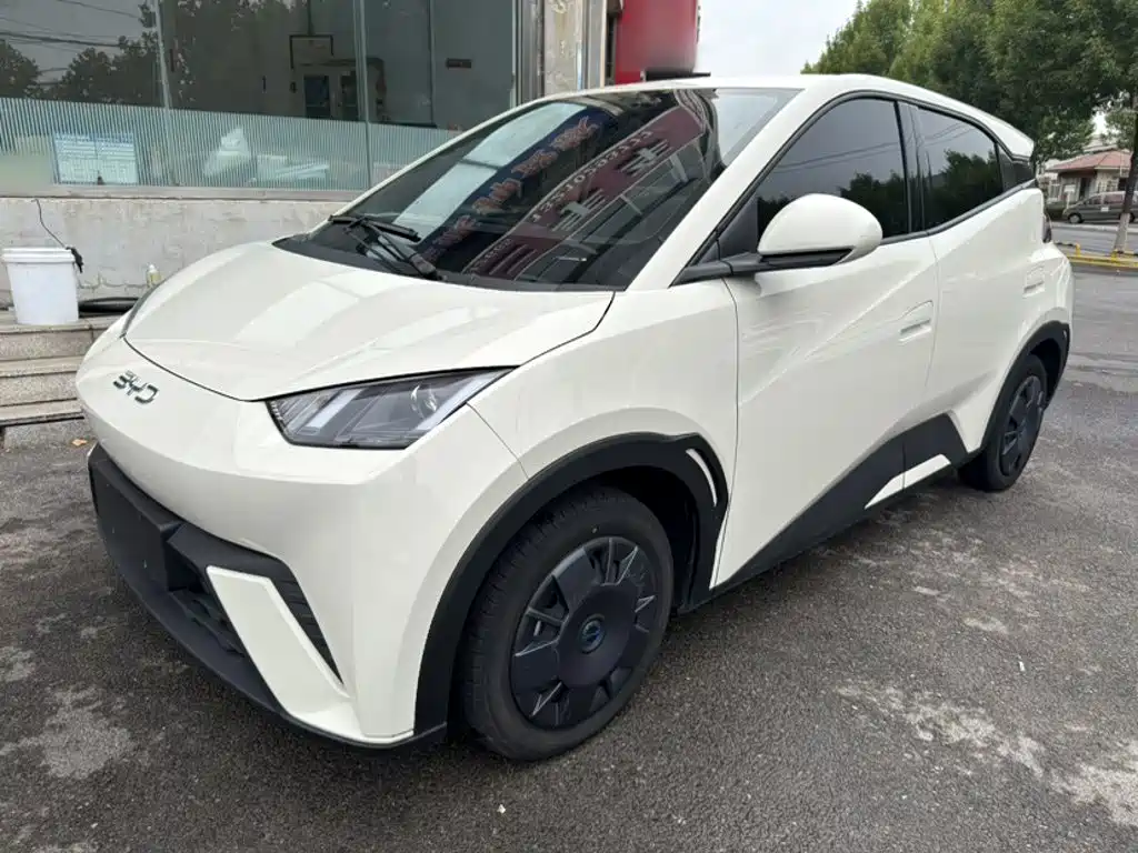 BYD Seagull 2025
