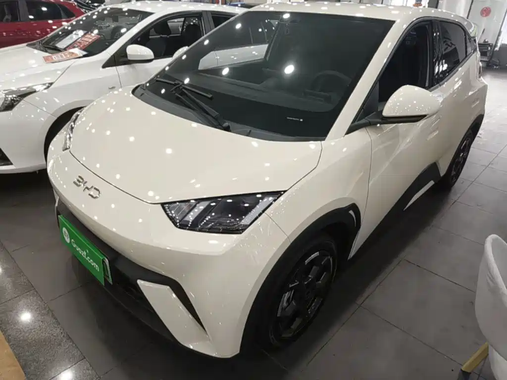 BYD Seagull 2024