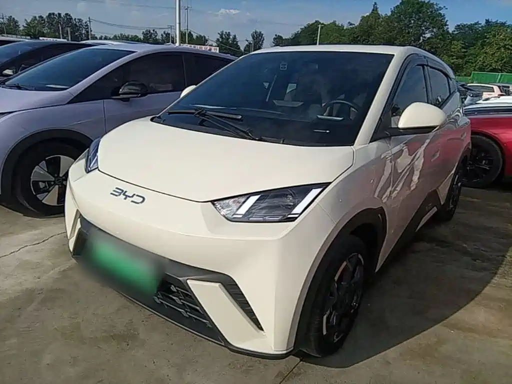 BYD Seagull 2024