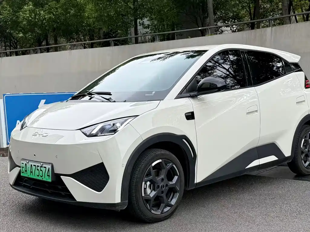 BYD Seagull 2025