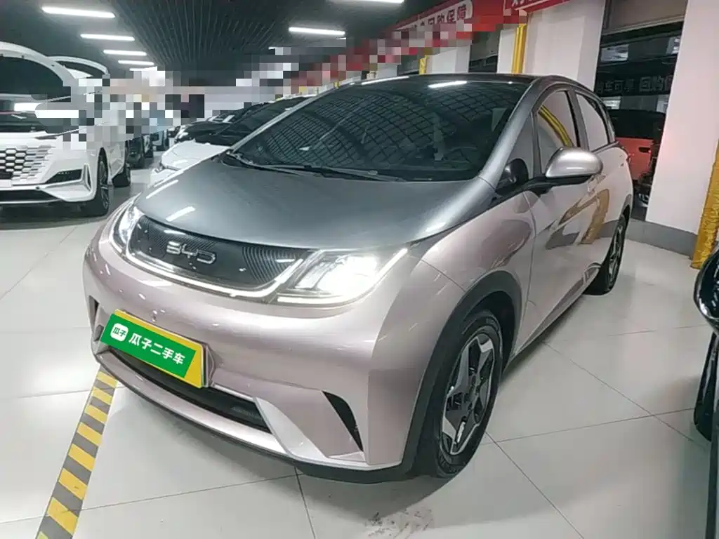 BYD Dolphin 2021